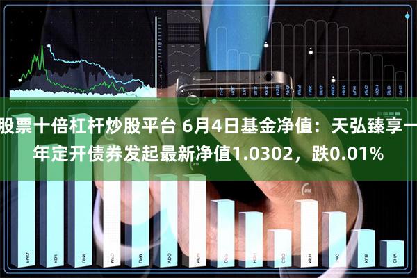 股票十倍杠杆炒股平台 6月4日基金净值：天弘臻享一年定开债券发起最新净值1.0302，跌0.01%