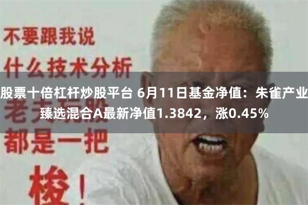 股票十倍杠杆炒股平台 6月11日基金净值：朱雀产业臻选混合A最新净值1.3842，涨0.45%
