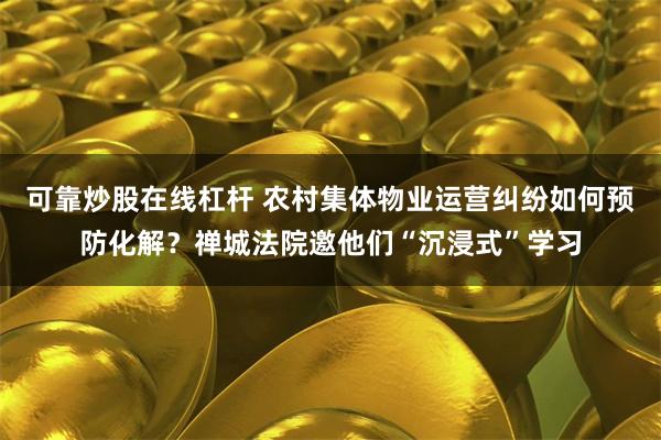 可靠炒股在线杠杆 农村集体物业运营纠纷如何预防化解？禅城法院邀他们“沉浸式”学习