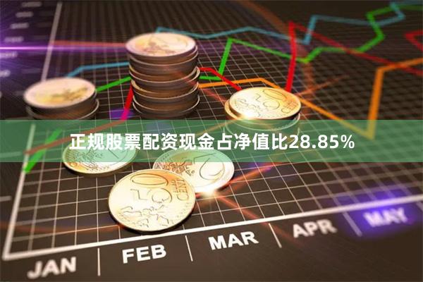 正规股票配资现金占净值比28.85%