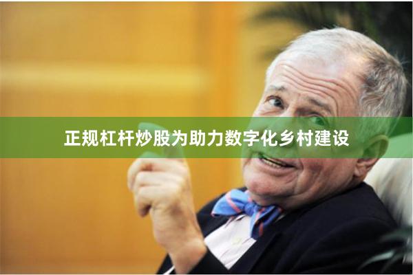 正规杠杆炒股为助力数字化乡村建设